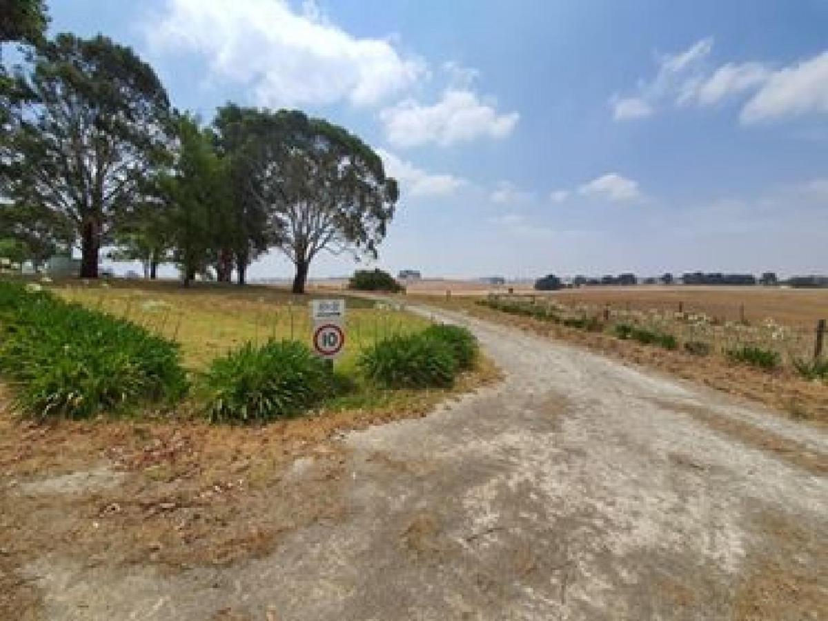 מאונט גמבייר Pleasant Hill Bnb מראה חיצוני תמונה